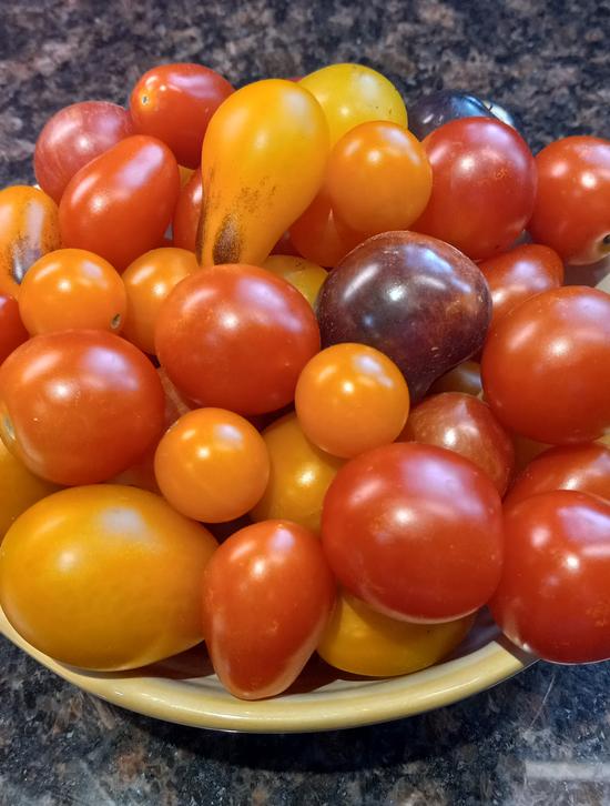 Organic Garden Plants