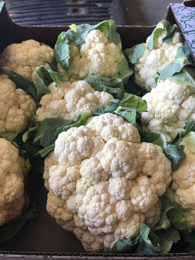 Brassica oleracea 'Snow Crown' - Cauliflower from My Organic Table
