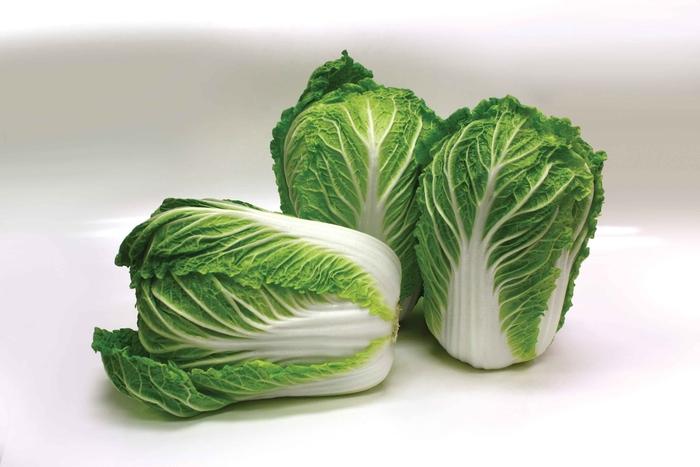 Brassica Napa Gold F1