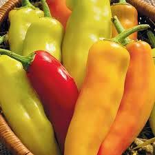 Capsicum annuum 'Hungarian Hot Wax' - Pepper, Hungarian Hot Wax from My Organic Table