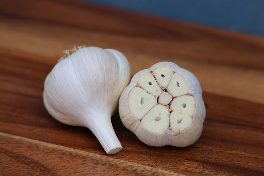 Allium sativum 'German White (hard neck)' - Garlic, German White (hard neck) from My Organic Table