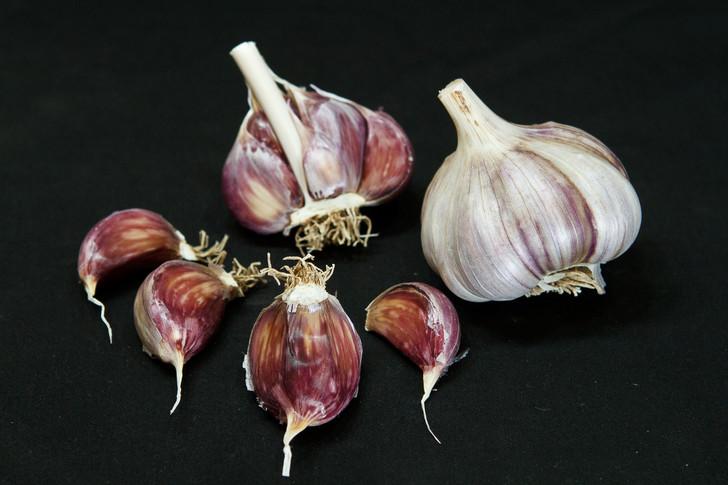 Allium sativum 'Purple Glazer (hard neck)' - Garlic, Purple Glazer (hard neck) from My Organic Table