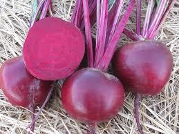 Beta 'Moneta' - Beet, Moneta Red from My Organic Table