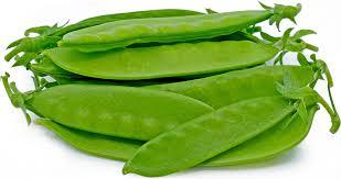 Pisum sativum - Snow Pea from My Organic Table