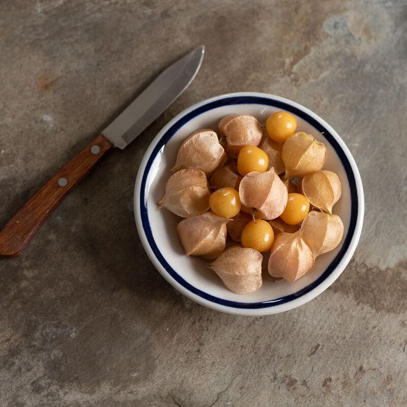Physalis pruinosa 'aka Husk Cherries' - Ground Cherries aka Husk Cherries from My Organic Table