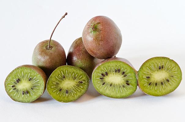 Actinidia arguta 'Prolific' - Kiwi, Prolific from My Organic Table