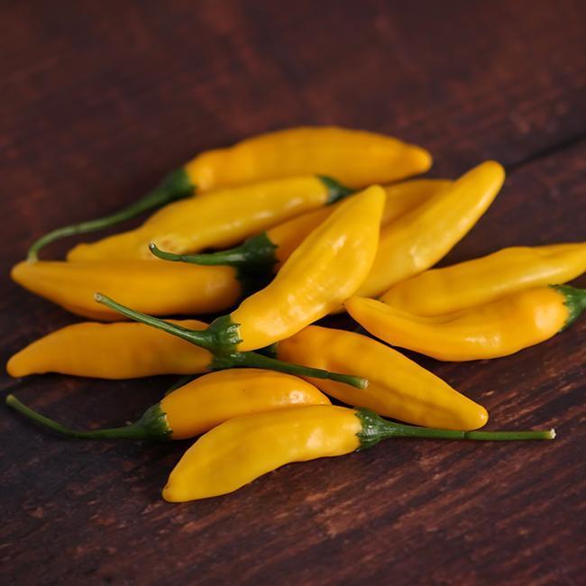Capsicum annuum 'Aji, Lemon Drop' - Pepper, Aji, Lemon Drop from My Organic Table