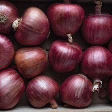 Allium cepa 'Cabernet Red' - Onion, Cabernet Red from My Organic Table