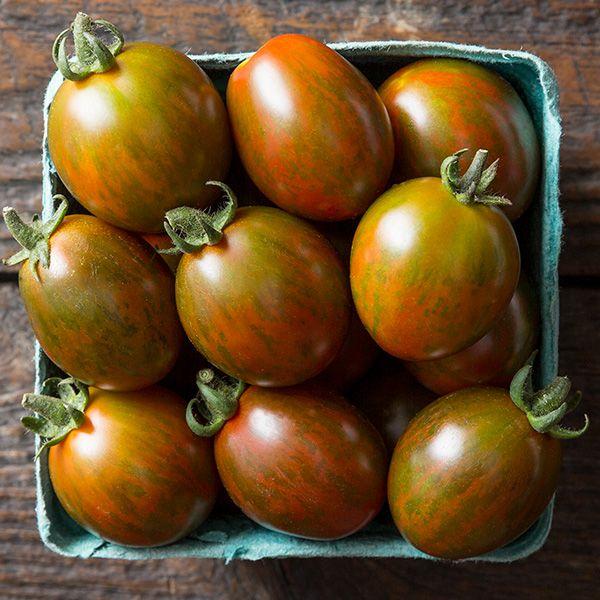 Solanum lycopersicon 'Chocolate Sprinkles' - Tomato, Chocolate Sprinkles from My Organic Table