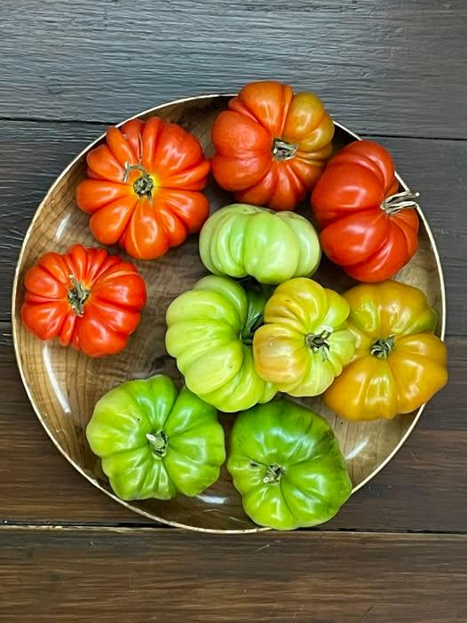 Solanum lycopersicon 'Costoluto Fiorentino' - Tomato, Costoluto Fiorentino from My Organic Table