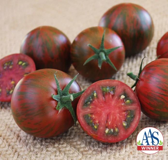 Solanum lycopersicon 'Purple Zebra' - Tomato from My Organic Table