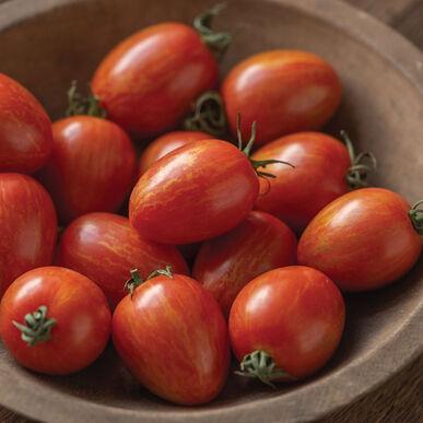 Solanum lycopersicon 'Red Torch' - Tomato, Red Torch from My Organic Table