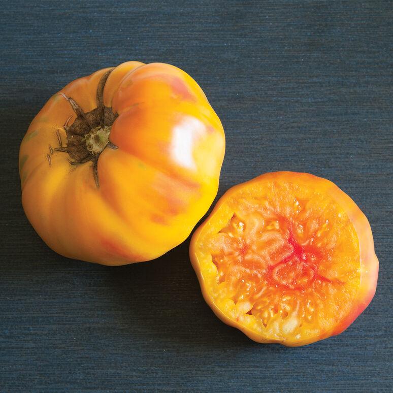 Solanum lycopersicon 'Striped German' - Tomato, Striped German from My Organic Table