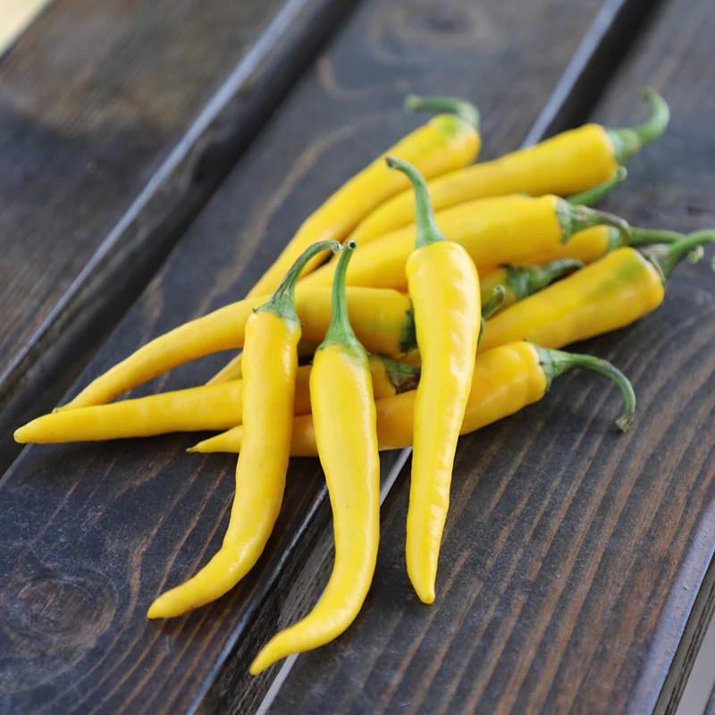 Capsicum annuum 'Golden Cayenne' - Pepper, Golden Cayenne from My Organic Table