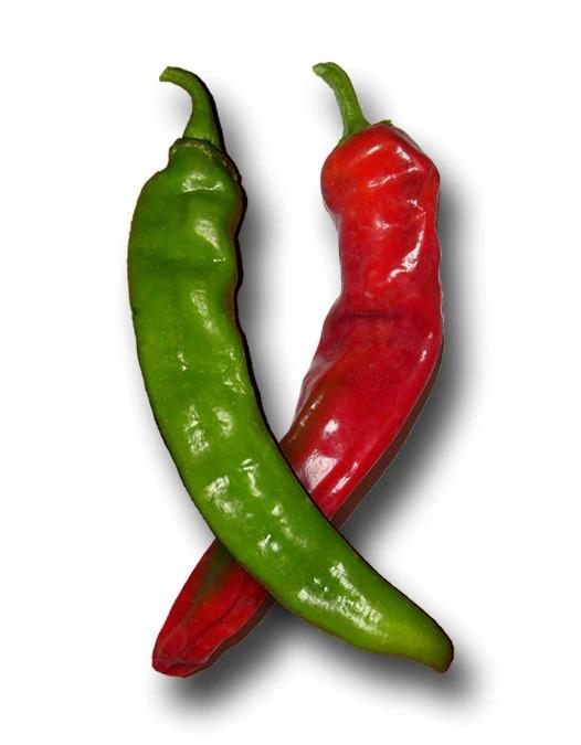 Capsicum annuum 'Hatch Red Chile (Joe E. Parker)' - Pepper, Hatch Red Chile (Joe E. Parker) from My Organic Table