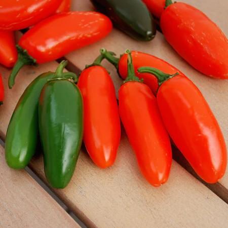 Capsicum annuum 'Jalapeno, Orange Spice' - Pepper, Jalapeno, Orange Spice from My Organic Table