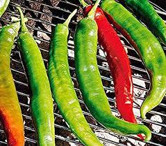 Capsicum annuum 'Long Hot' - Pepper, Long Hot from My Organic Table
