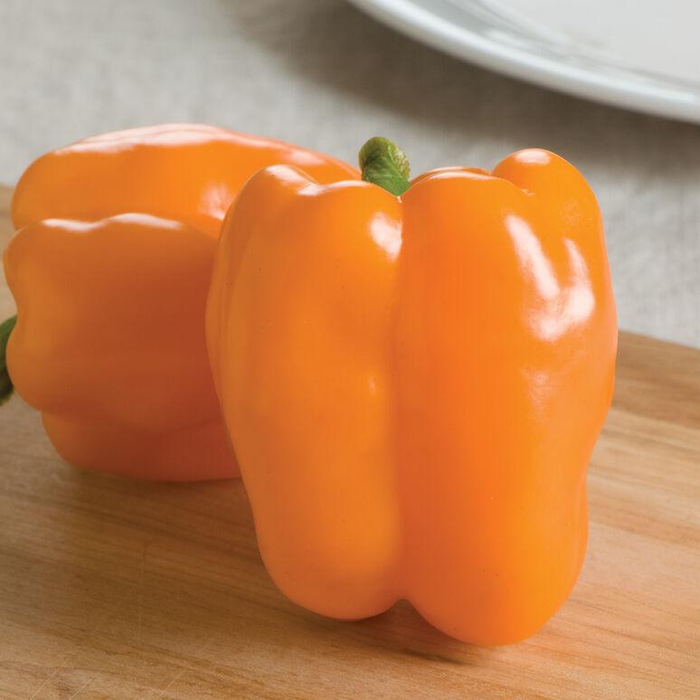 Capsicum annuum 'Orange Bell, Gourmet' - Pepper, Orange Bell, Gourmet from My Organic Table