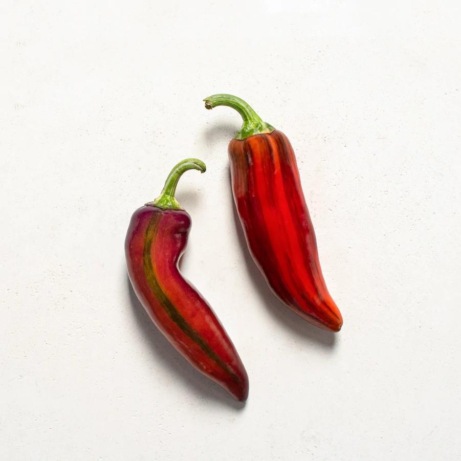 Capsicum annuum 'Patchwork' - Pepper, Patchwork from My Organic Table