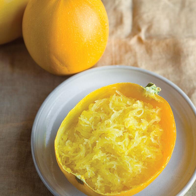 Cucurbita maxima 'Angel Hair, Spaghetti' - Squash, Angel Hair, Spaghetti from My Organic Table