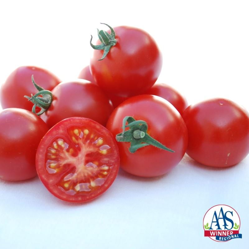 Solanum lycopersicum 'BadaBing' - Tomato, BadaBing from My Organic Table