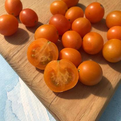 Solanum lycopersicum 'Honey Drop' - Tomato, Honey Drop from My Organic Table