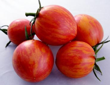 Solanum lycopersicum 'Pink Bumblebee' - Tomato, Pink Bumblebee from My Organic Table