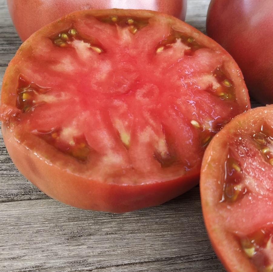 Solanum lycopersicum 'Polaris' - Tomato, Polaris from My Organic Table
