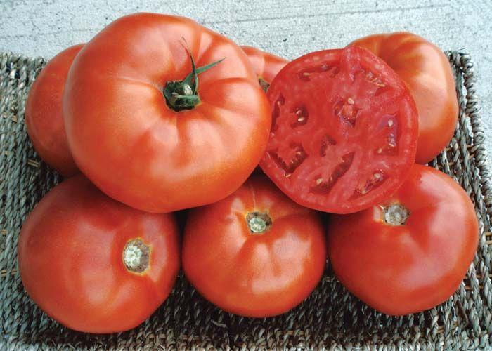 Solanum lycopersicum 'Red Deuce' - Tomato, Red Deuce from My Organic Table