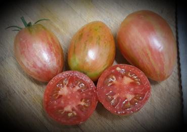 Solanum lycopersicum 'Taste Patio' - Tomato, Taste Patio from My Organic Table