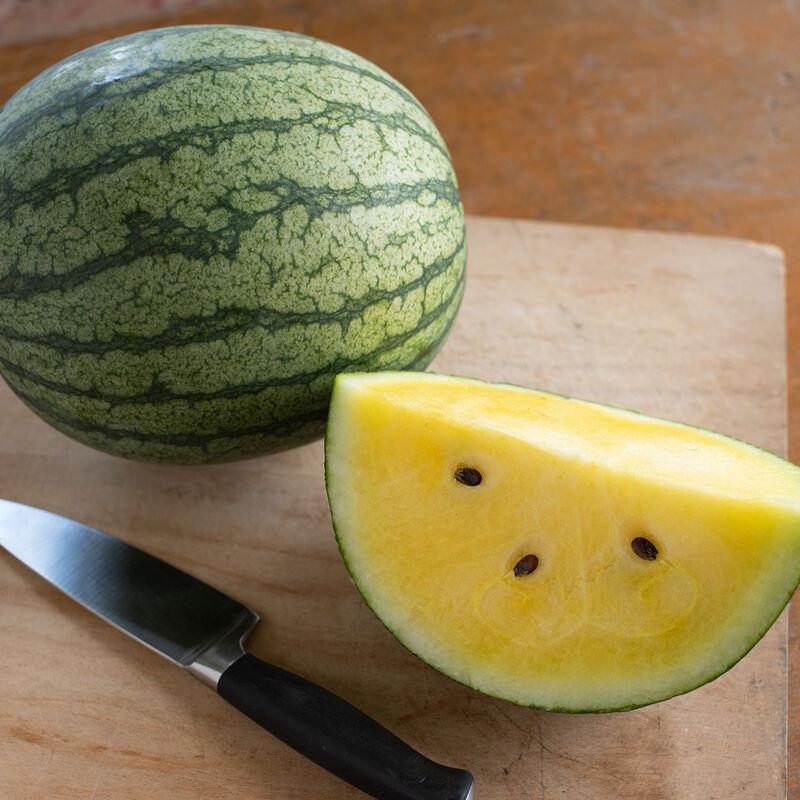 Citrullus lanatus 'Seeded - Yellow Doll' - Watermelon Seeded - Yellow Doll from My Organic Table