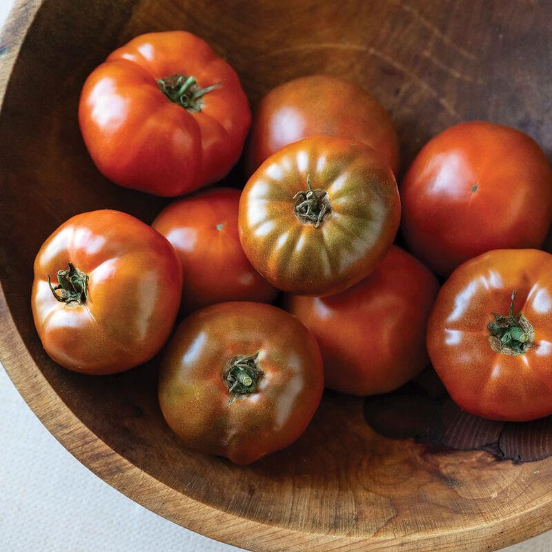 Solanum lycopersicon 'Black Angel' - Tomato, Black Angel from My Organic Table