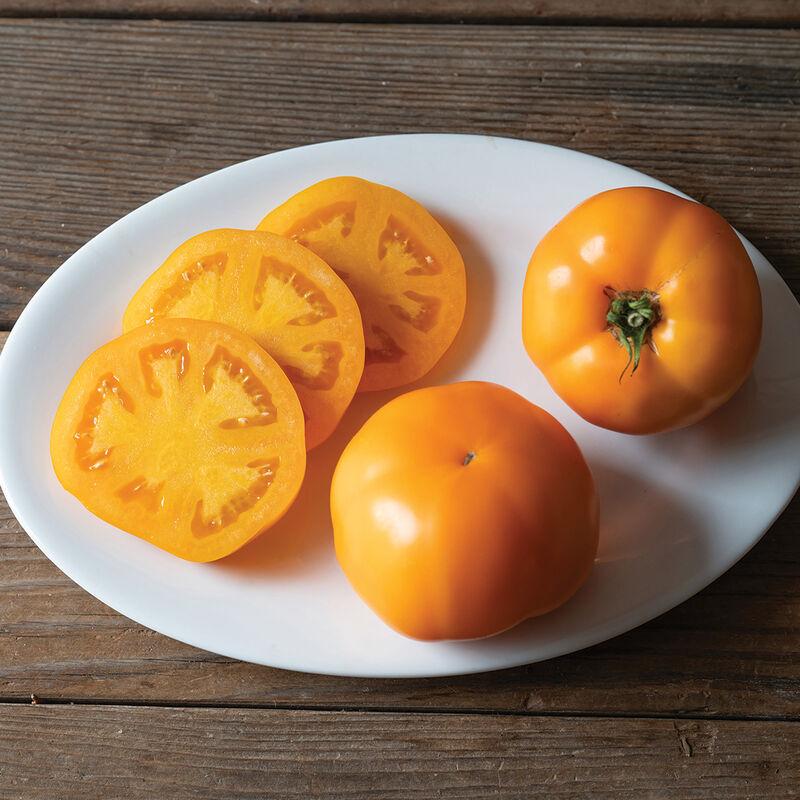 Solanum lycopersicon 'Marmalade Skies' - Tomato, Marmalade Skies from My Organic Table