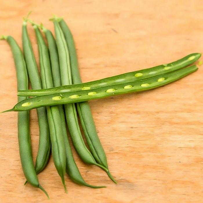 Phaseolus vulgaris Seychelles