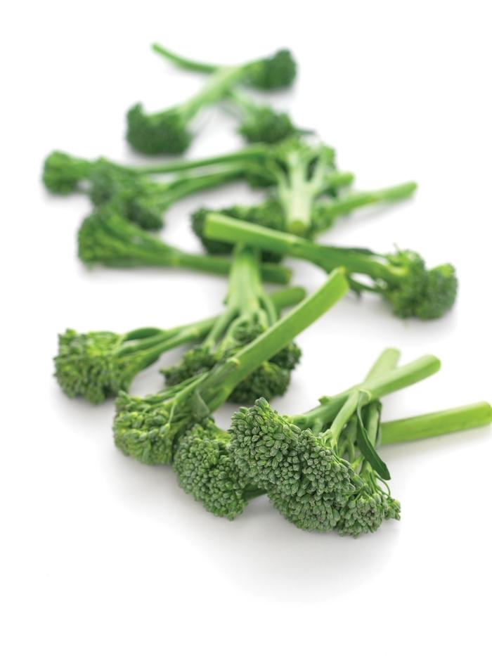 Brassica Aspabroc