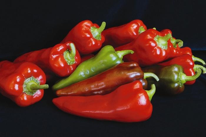 Capsicum annuum Carmen
