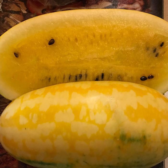 Citrullus lanatus Seeded - Gold In Gold