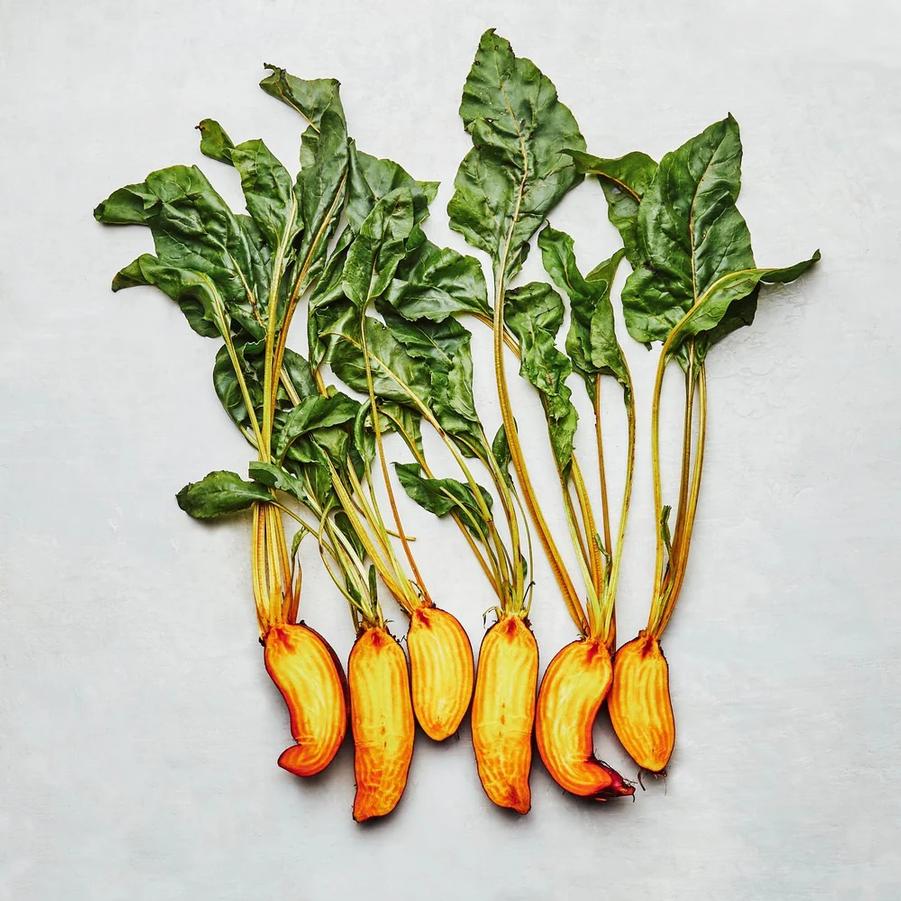 Beta 'Badger Flame' - Beet, Badger Flame from My Organic Table