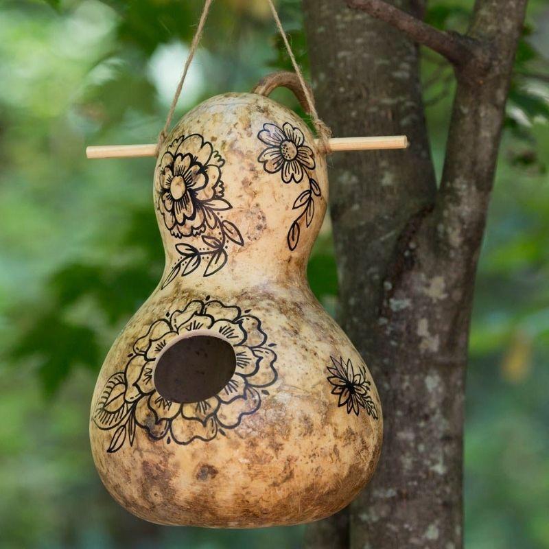 Lagenaria siceraria 'Bird House' - Gourds, Bird House from My Organic Table