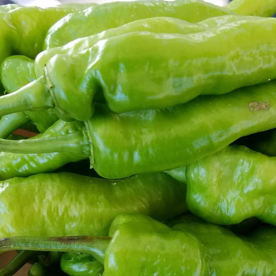 Capsicum annuum 'Long Hot' - Pepper, Long Hot from My Organic Table