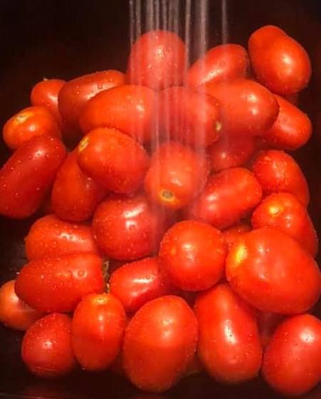 Solanum lycopersicum 'Plum Regal' - Tomato, Plum Regal from My Organic Table