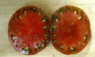 Solanum lycopersicum 'Polaris' - Tomato, Polaris from My Organic Table