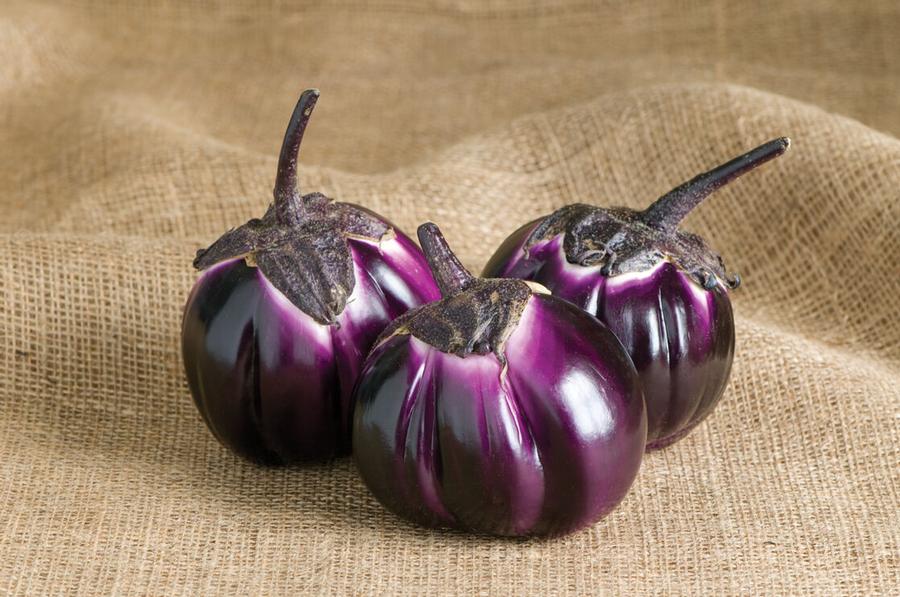 Solanum melongena 'Sicilian' - Eggplant,Sicilian from My Organic Table