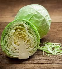 Brassica oleracea Farao