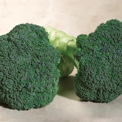 Brassica Emerald Crown F1
