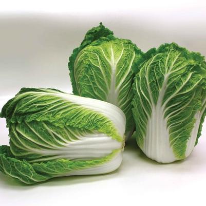 Brassica Napa Gold F1