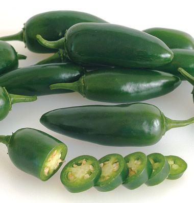 Capsicum annuum Jalapeno