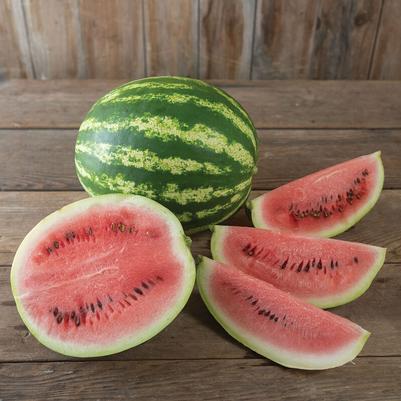 Citrullus lanatus Seeded - Crimson Sweet