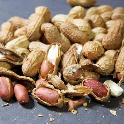 Arachis hypogaea 