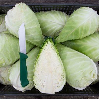 Brassica oleracea var. capitata Caraflex